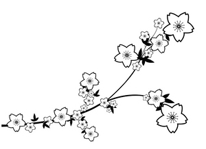 其他黑白贴图