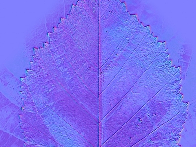 其他法线