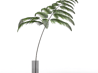 带盆绿色植物模型