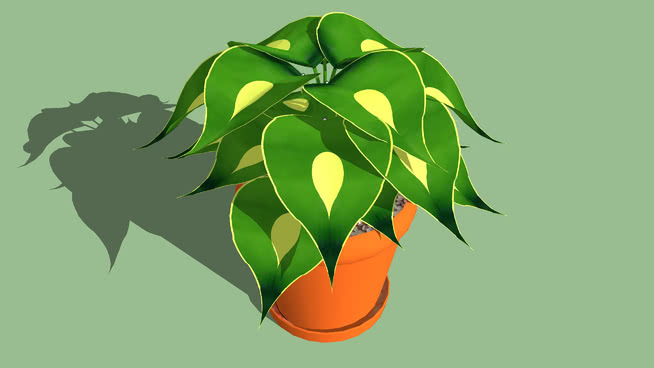盆栽植物 其他 风车 画 衣物