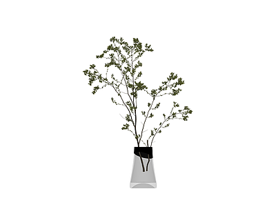 透明花瓶配绿植盆栽