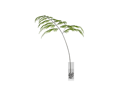 盆栽绿植带盆