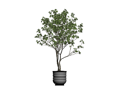 带盆绿植盆栽模型
