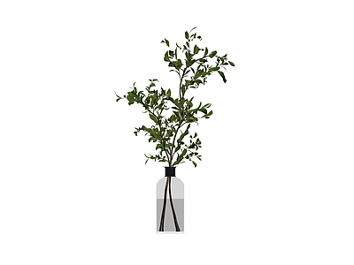 瓶插绿植模型