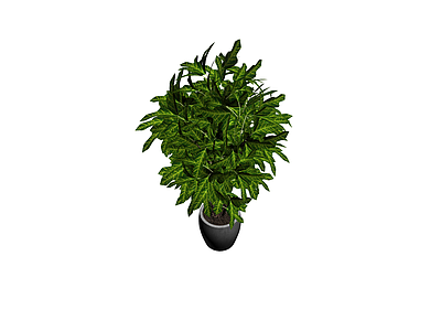 盆栽绿植模型