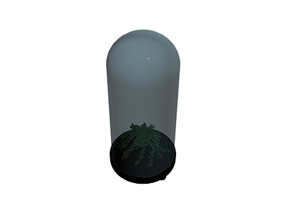玻璃罩盆栽植物
