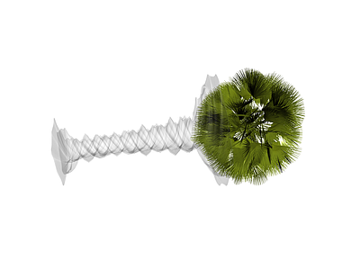 带盆棕榈植物模型