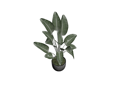 盆栽绿植带编织花盆