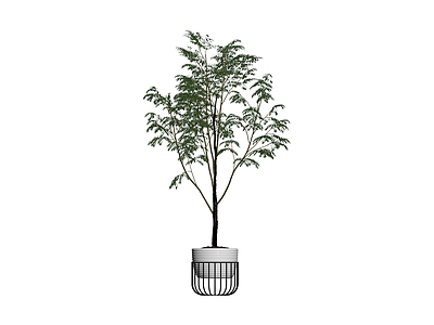 白盆绿植盆栽组合