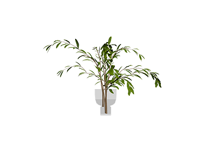 带盆绿植盆栽模型