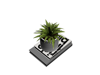 带盆绿植与书籍组合