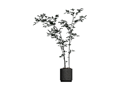 盆栽绿植模型