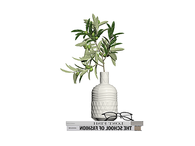 花瓶绿植书籍组合