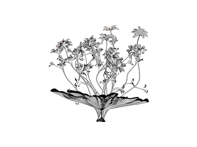 灰模花卉盆栽组合