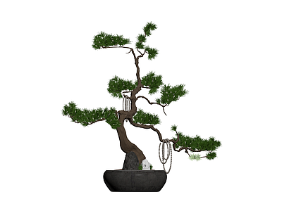 带盆松树盆景模型