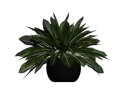 黑盆绿植盆栽模型