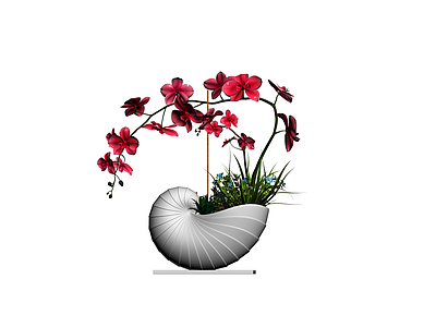 贝壳造型花盆盆栽