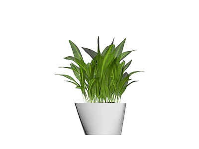 灰模盆栽植物