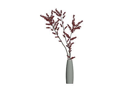 红果植物盆栽模型