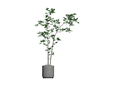 盆栽绿植组合模型