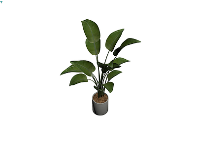 带盆绿植盆栽模型