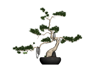 带盆松树盆景模型