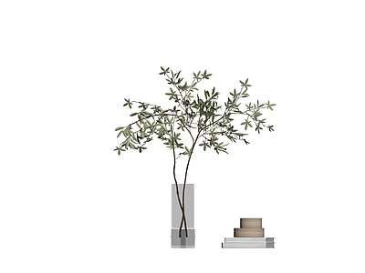 盆栽植物与书籍摆件组合