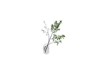 透明花瓶绿植盆栽