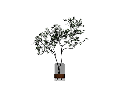 盆栽绿植模型