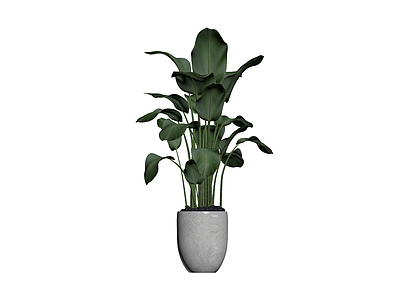 灰色花盆绿植盆栽
