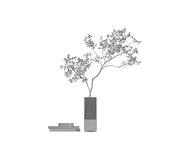 盆栽植物配花瓶