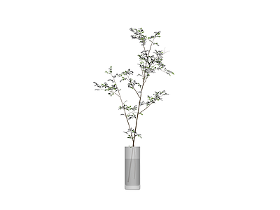带玻璃花瓶的植物盆栽