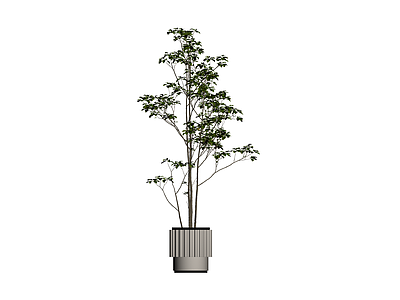 带盆绿植盆栽模型