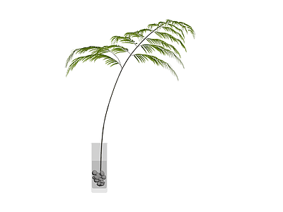盆栽蕨类植物模型