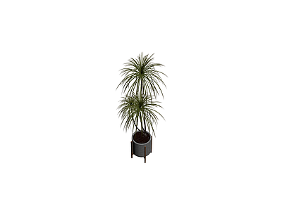 盆栽植物带架