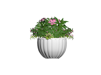 粉色花卉组合盆栽