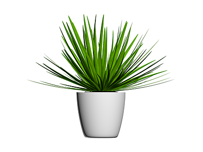 白盆绿植盆栽模型