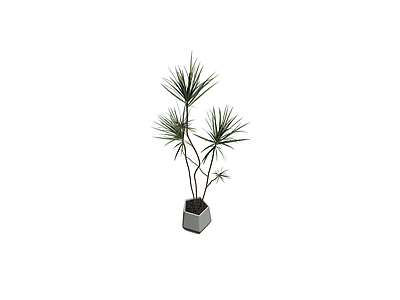 盆栽植物模型