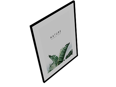挂画/海报装饰品