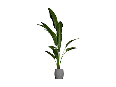 灰色花盆绿植盆栽