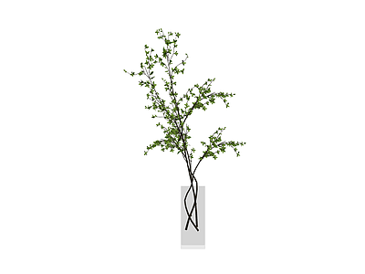 绿植盆栽组合