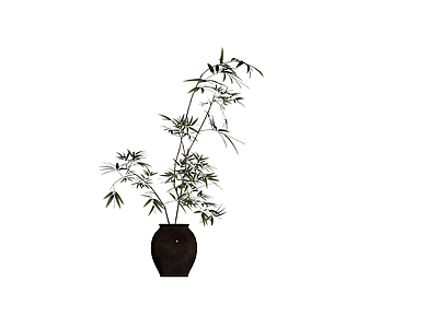 盆栽竹类植物模型