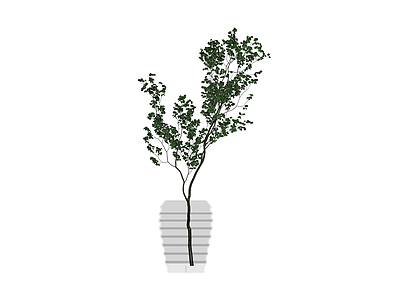 带盆绿植盆栽模型