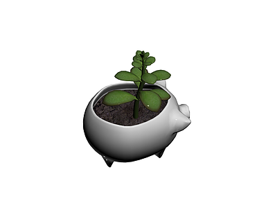 猪形花盆带植物
