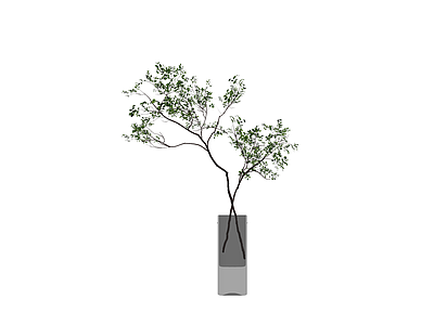 盆栽绿植组合