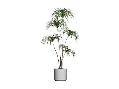 盆栽植物模型