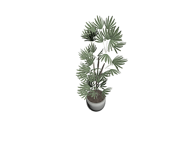 盆栽绿植模型