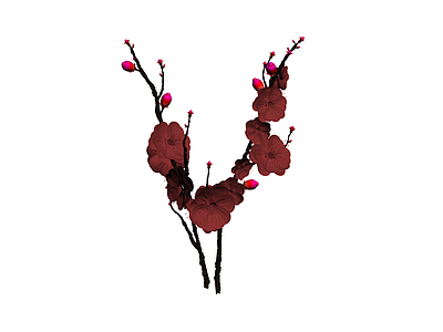 红色梅花植物枝条