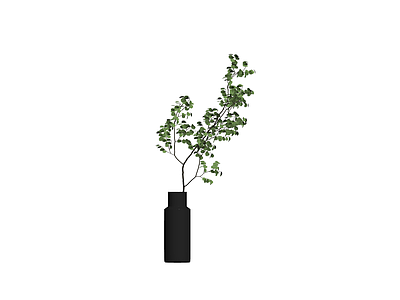 黑瓶绿植盆栽组合