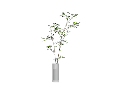 绿植枝条与花瓶组合